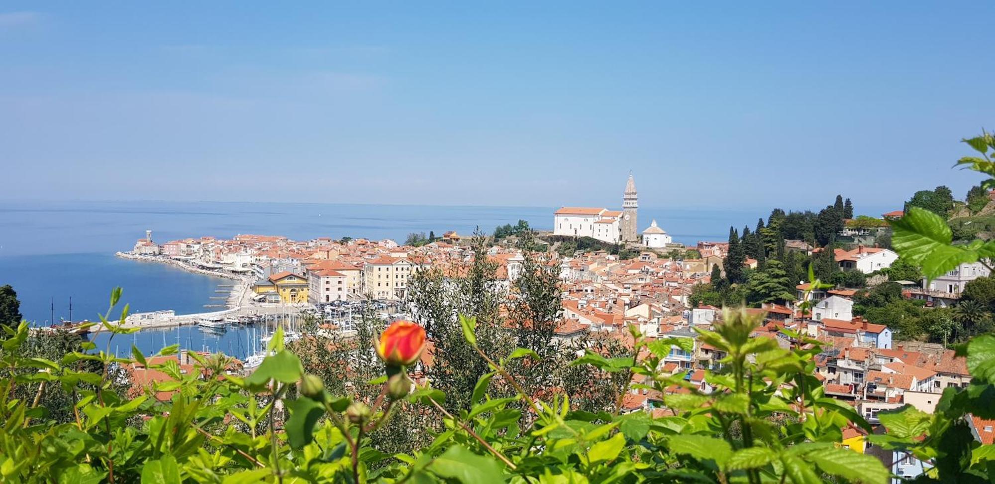 Studio Apartment Moro 2 Piran Exterior photo